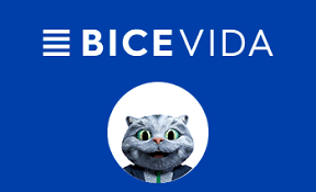 Bice Vida Seguros